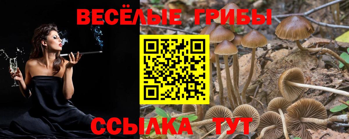 Псилоцибиновые грибы GOLDEN TEACHER Богородск