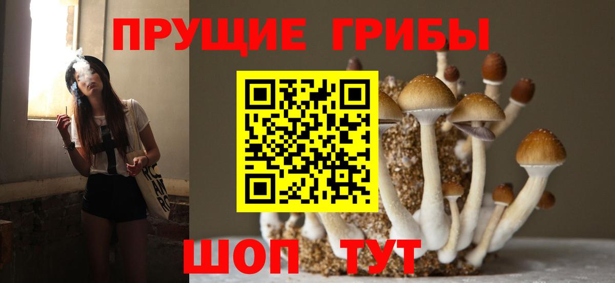 Богородск  Галлюциногенные грибы прущие грибы  Псилоцибиновые грибы Psilocybe  Вход с VPN 